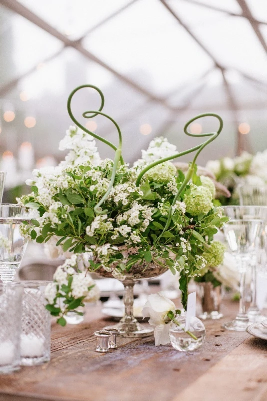 A Wedding for Sasha and Oliver