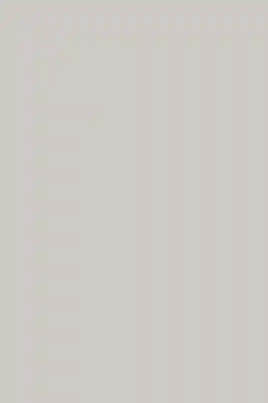 A Wedding for Ghazaleh and Bryce