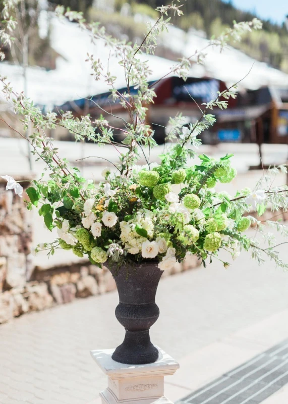 A Classic Wedding for Vanessa and Sean