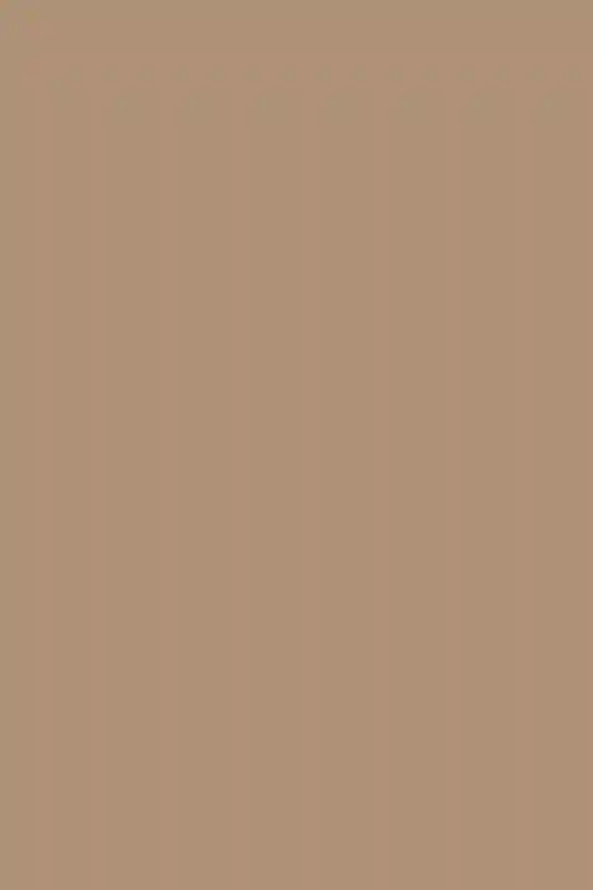 A Wedding for Stephanie and Jarred