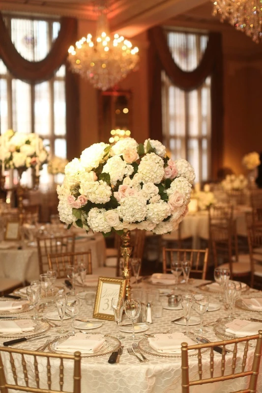 A Wedding for Kristen and David