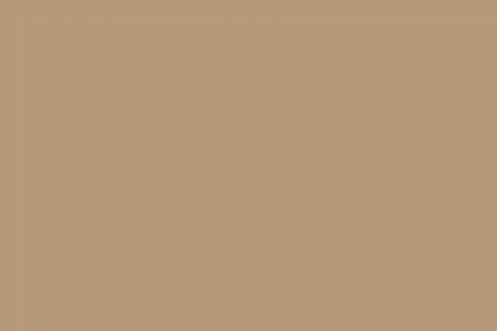 A Wedding for Colleen and Trey