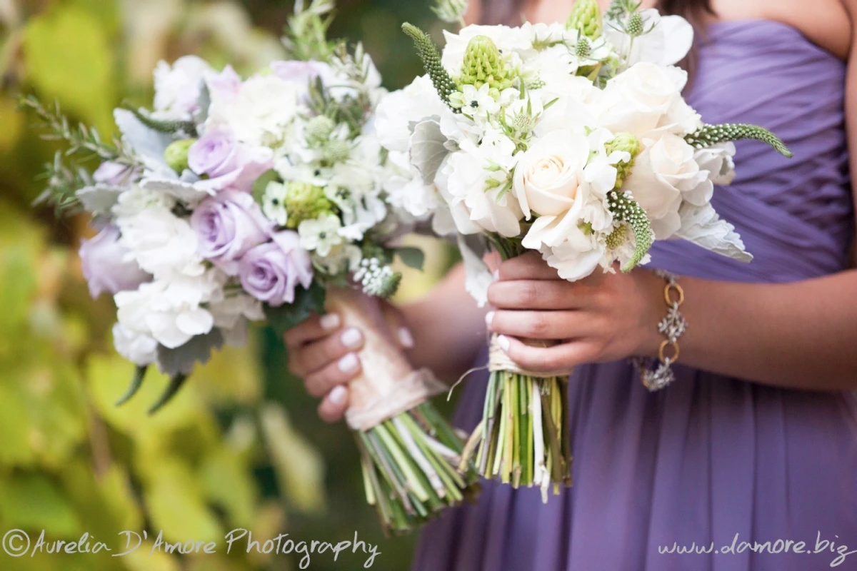 A Wedding for Lucy and Nathaniel