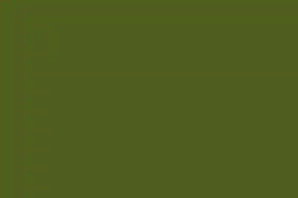 A Wedding for Lauren and Ofer