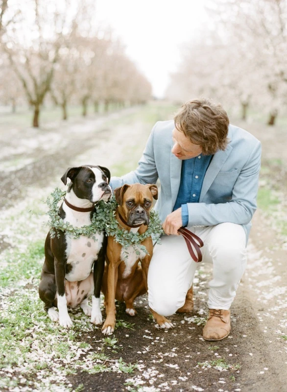 A Wedding for Whitney and Zak