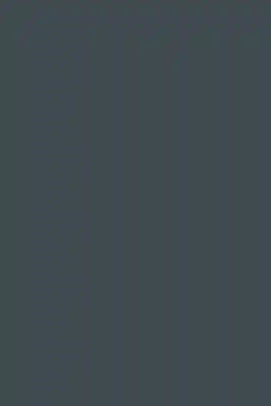 A Wedding for Megan and Josh