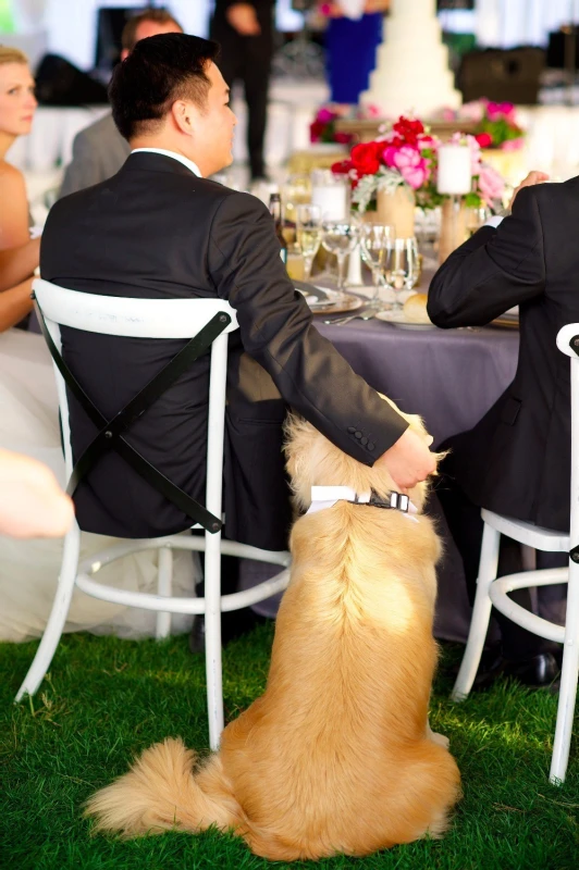 A Wedding for Carrie and Jimmy