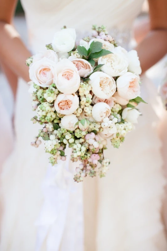 A Wedding for Alana and Dan