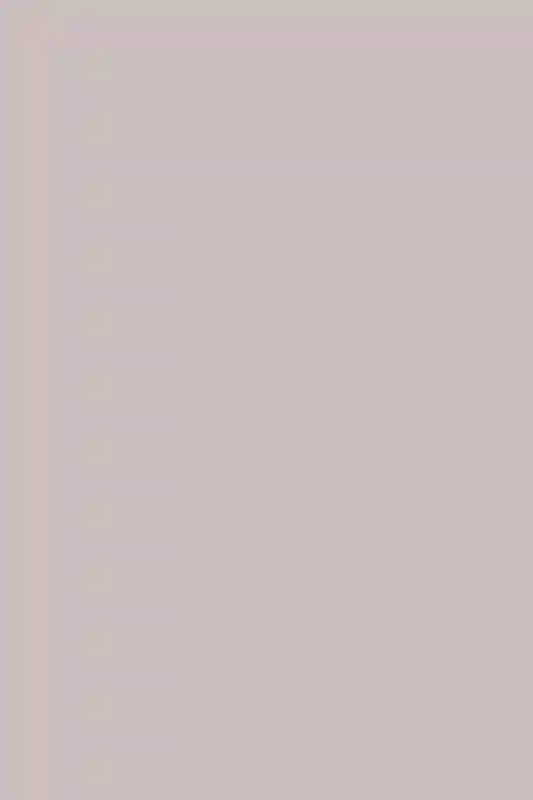 A Formal Wedding for Ashley and Evan