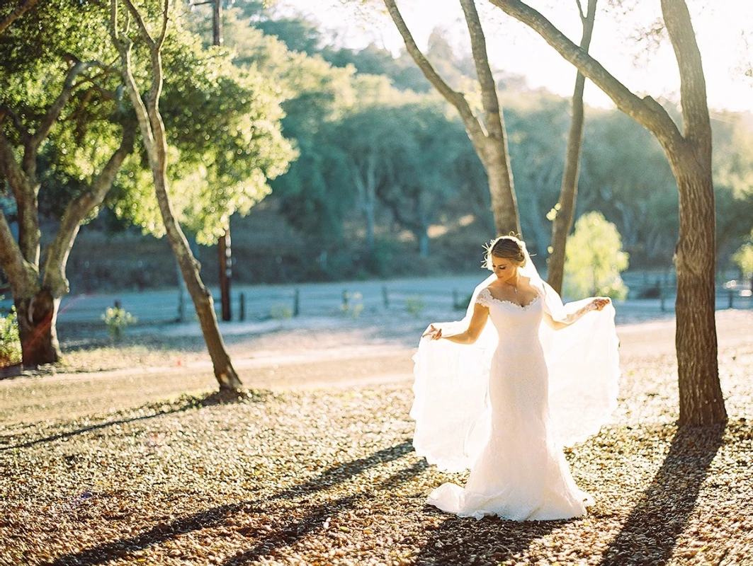 A Wedding for Stephanie and Gavin