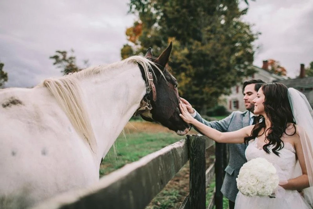 A Wedding for Claire and Timothy