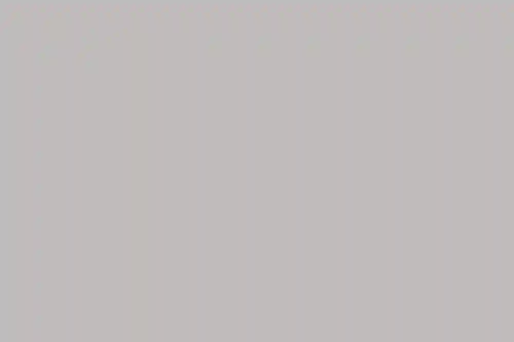 A Wedding for Julie and Paul