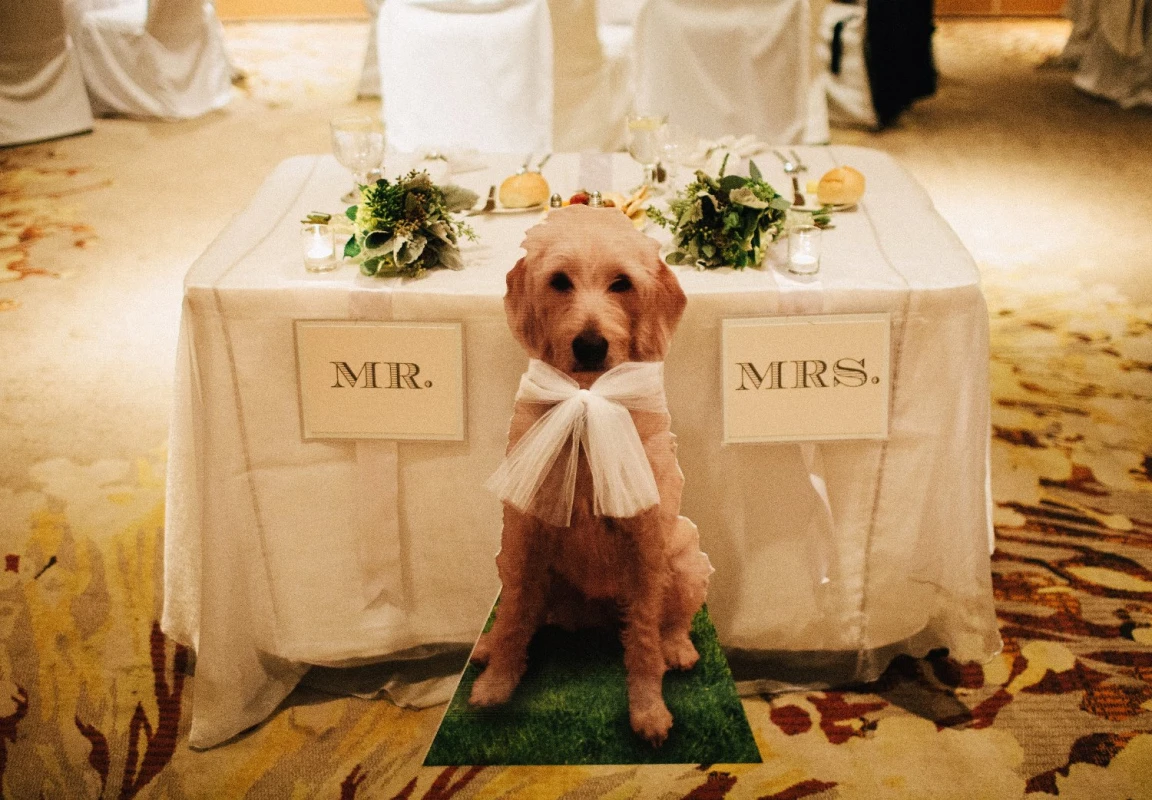 A Wedding for Megan and Jonathan