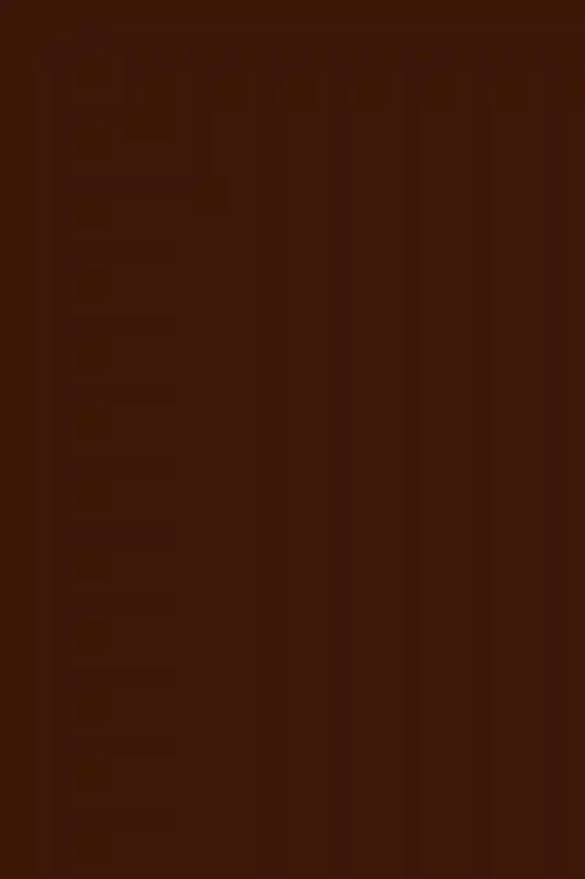 A Formal Wedding for Bianca and Will