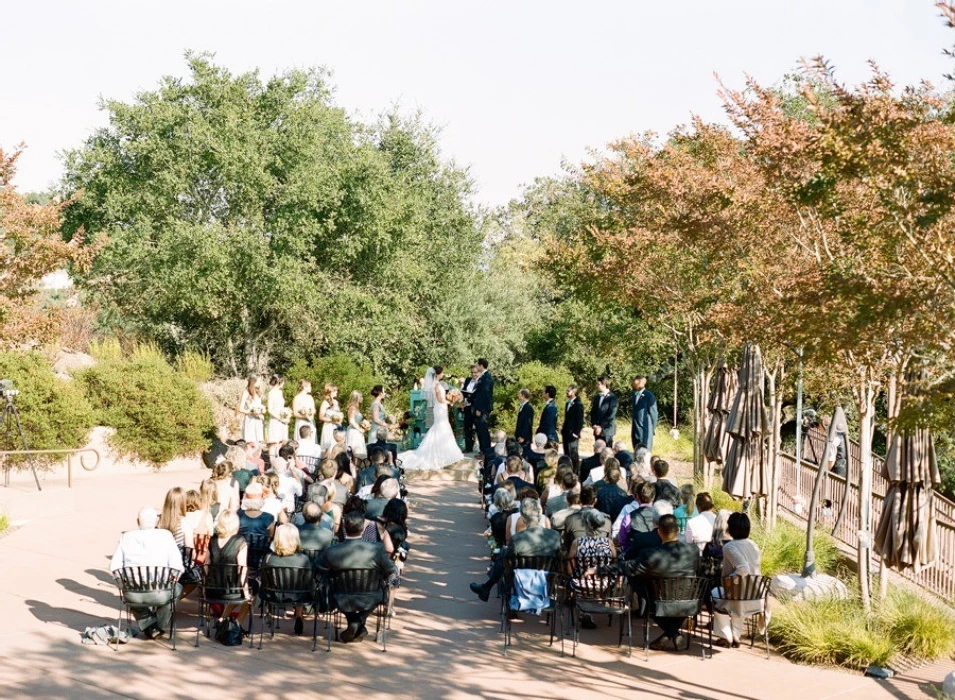 A Wedding for Elise and Alec