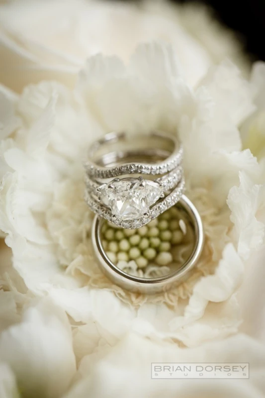 A Wedding for Ashley and Fred