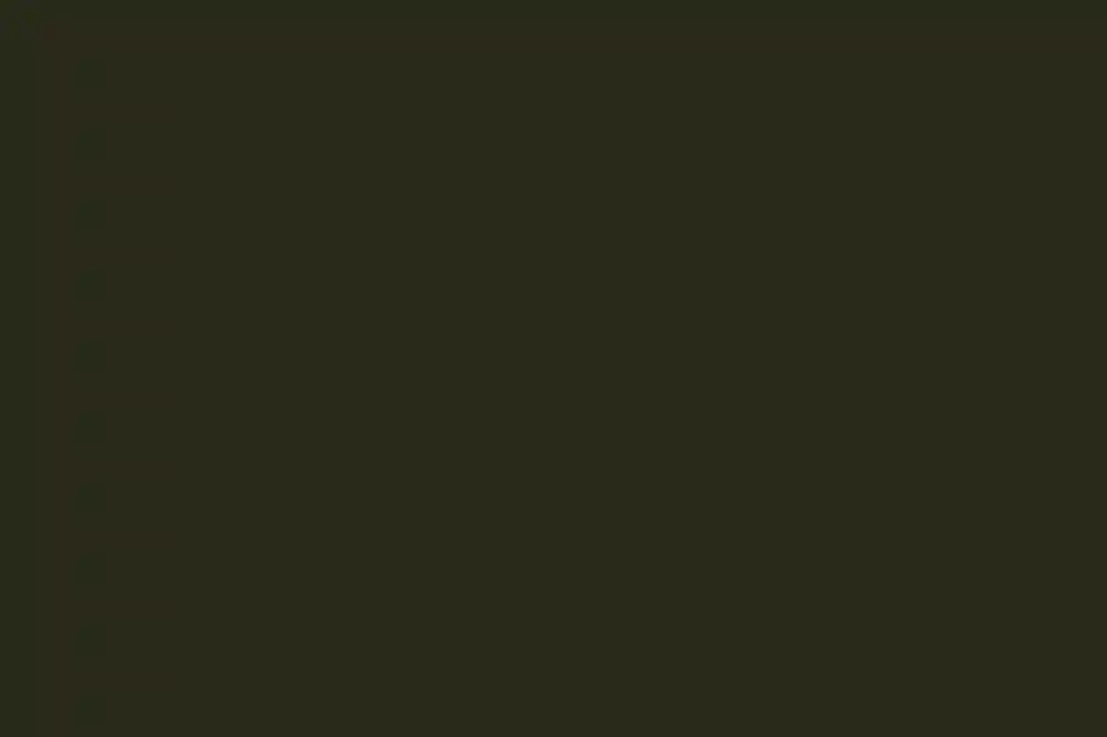 A Wedding for Carissa and Brandon