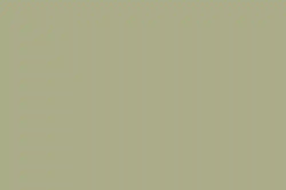 A Wedding for Lara and Kyle