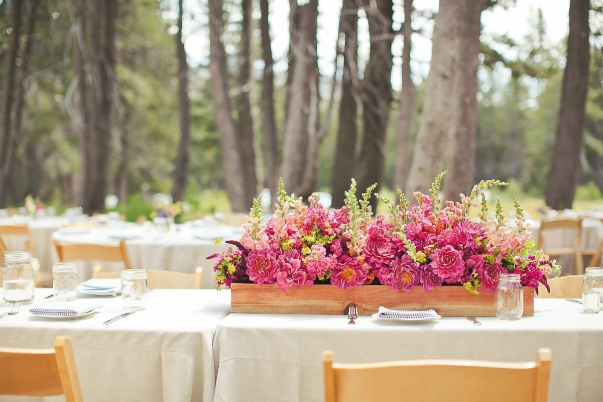 A Wedding for Amanda and Michael