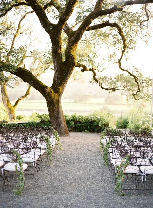 A Wedding for Amanda and Blake