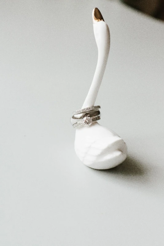 A Wedding for Emily and Jeremy