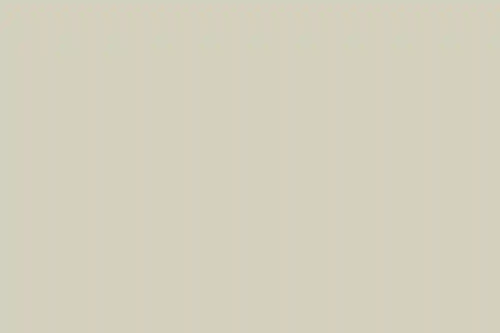 A Wedding for Ghazaleh and Bryce