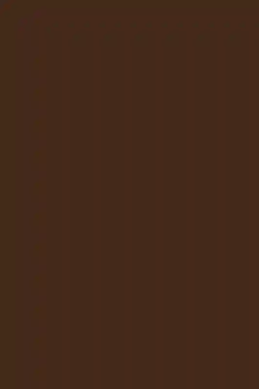 A Wedding for Aileen and Manoj