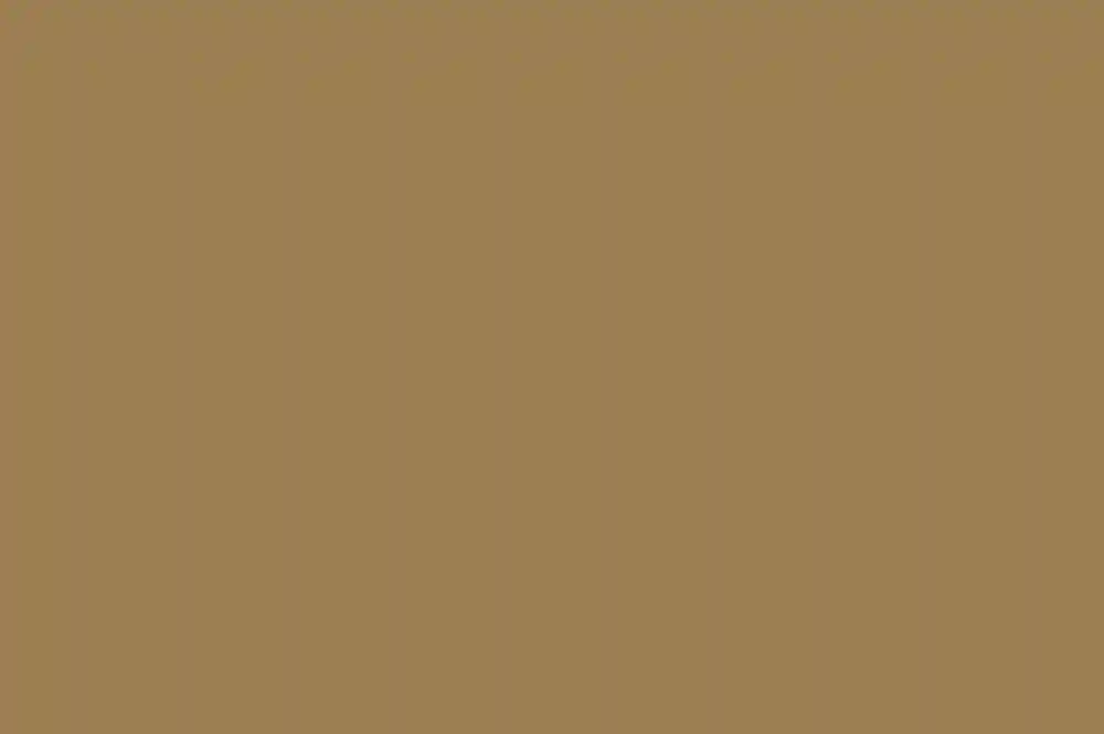 A Wedding for Jill and Mark