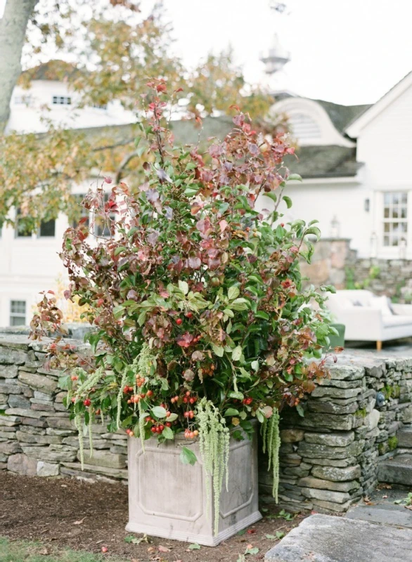 A Wedding for Kate and Chris