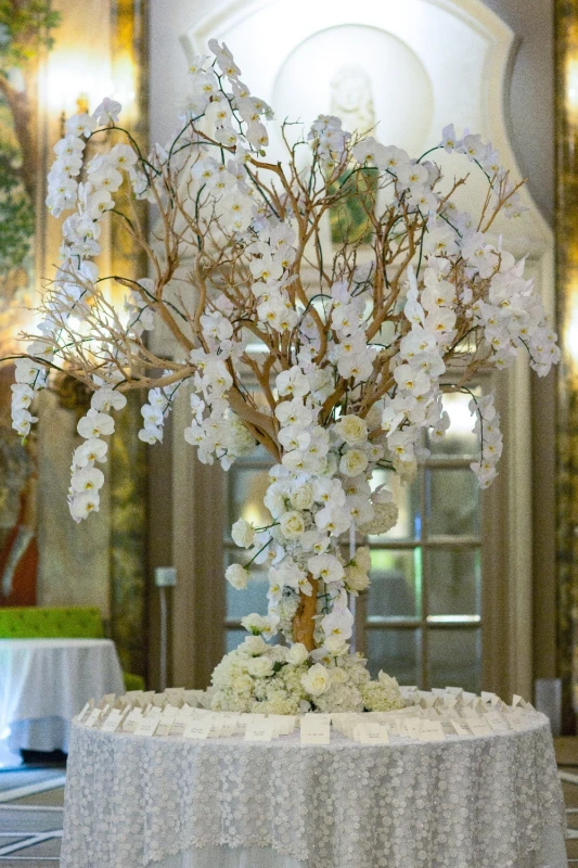 A Wedding for Jessica and Steve