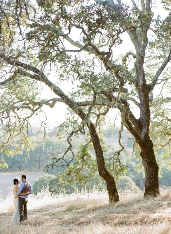 A Wedding for Viv and Len