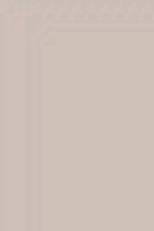 A Wedding for Lindsey and Ryan