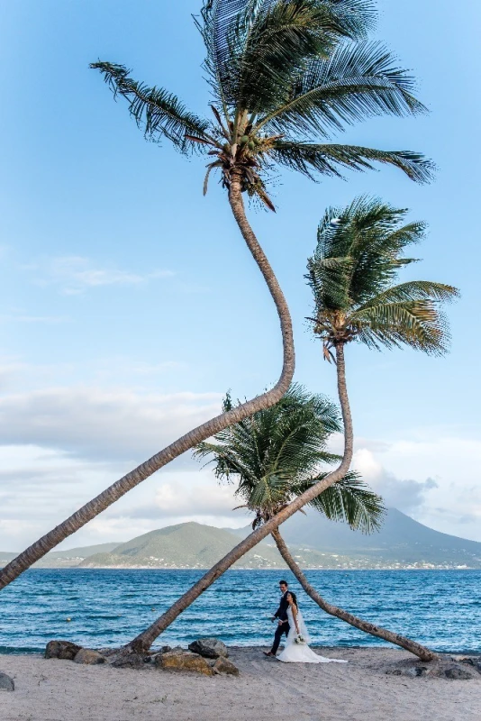 A Classic Wedding for Lindsey and Jeremy
