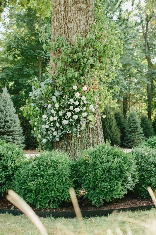 An Outdoor Wedding for Ally and Zac