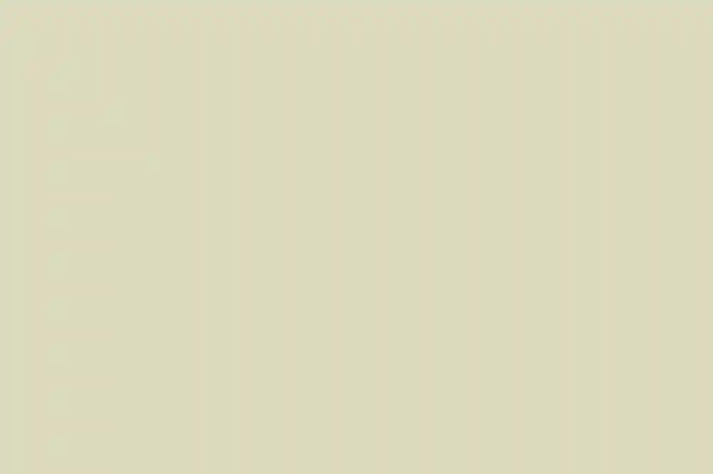 An Intimate Wedding for Satomi and Gavin