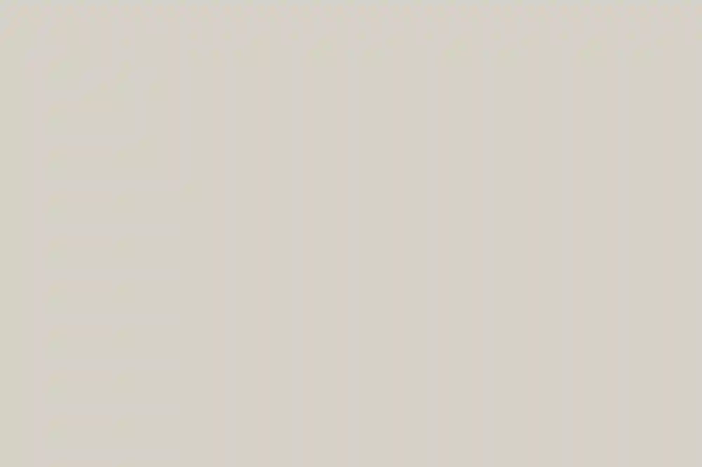 A Wedding for Ghazaleh and Bryce