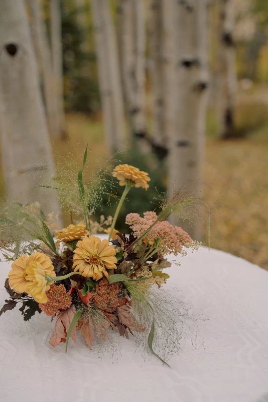A Mountain Wedding for Abby and Jason