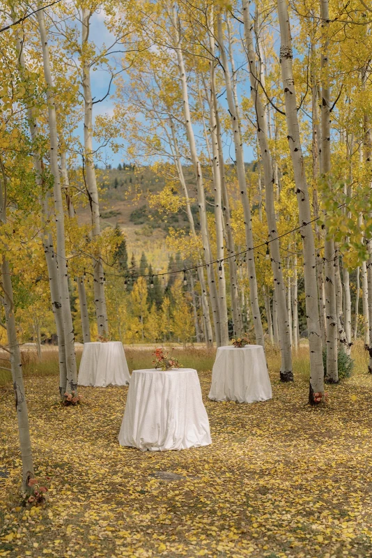 A Mountain Wedding for Abby and Jason