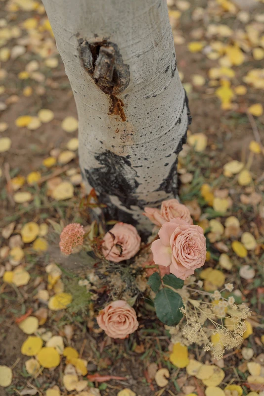 A Mountain Wedding for Abby and Jason