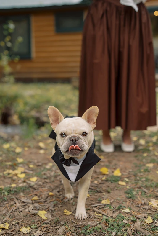 A Mountain Wedding for Abby and Jason