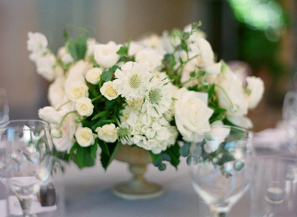 A Wedding for Jenny and Frank