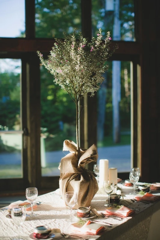 A Wedding for Alicia and Alex