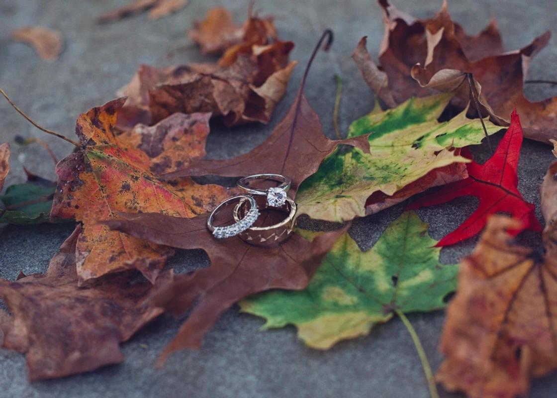 A Wedding for Ashley and Scott