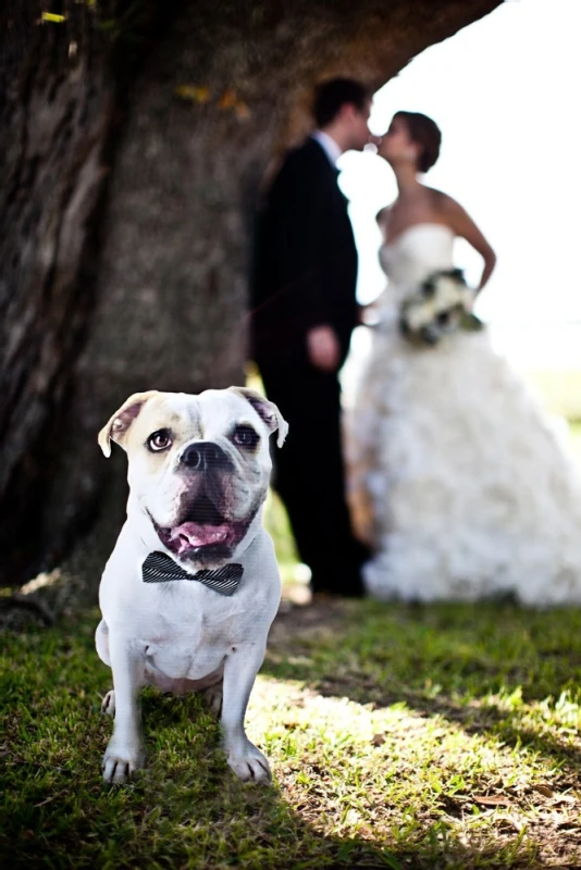 A Wedding for Tess and Rob