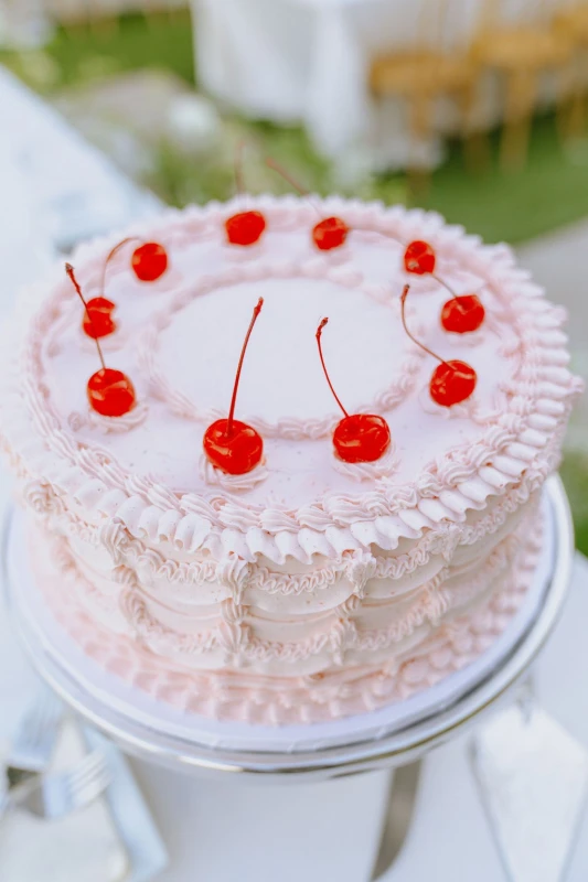 An Airy Wedding for Aili and Skyler
