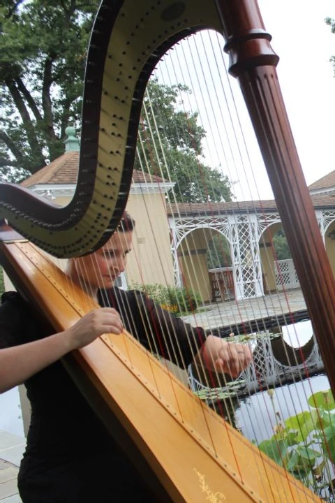 AimeeOnTheHarp