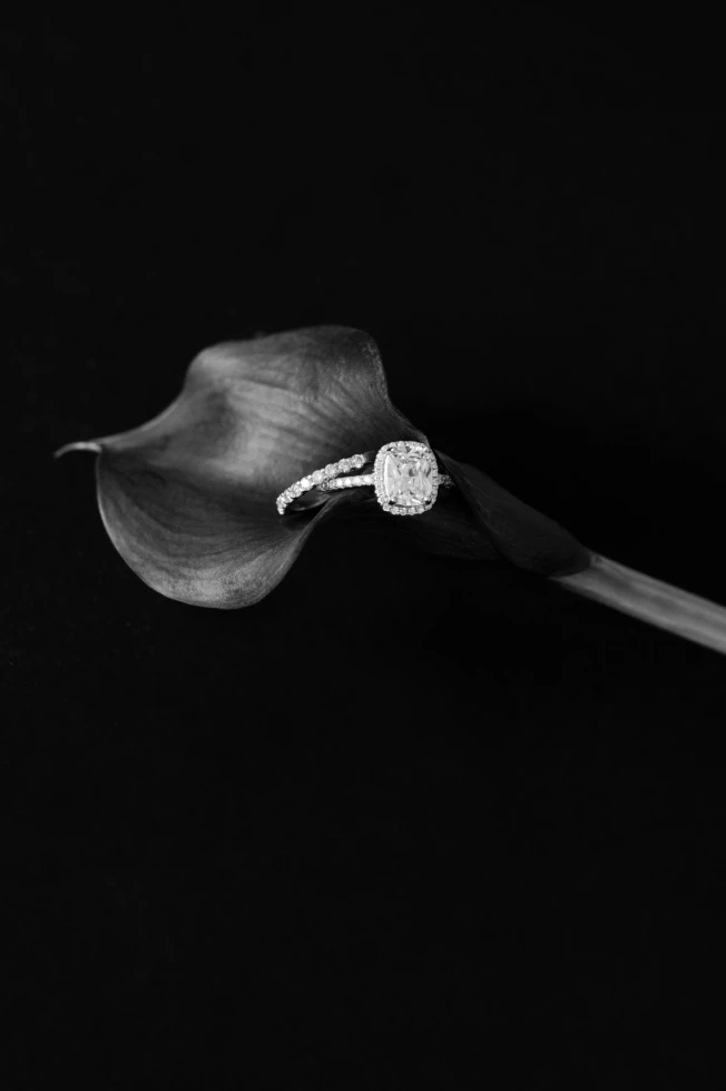 Alexandra SELLIER (Art Director)