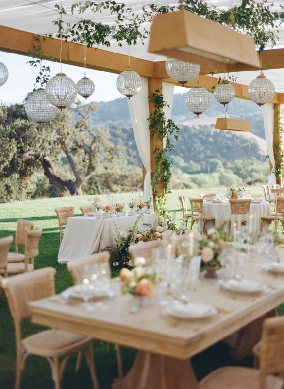 A Vineyard Wedding for Alexis and Austin