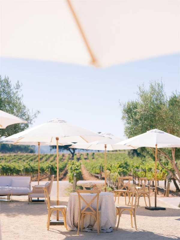 A Vineyard Wedding for Alexis and Austin