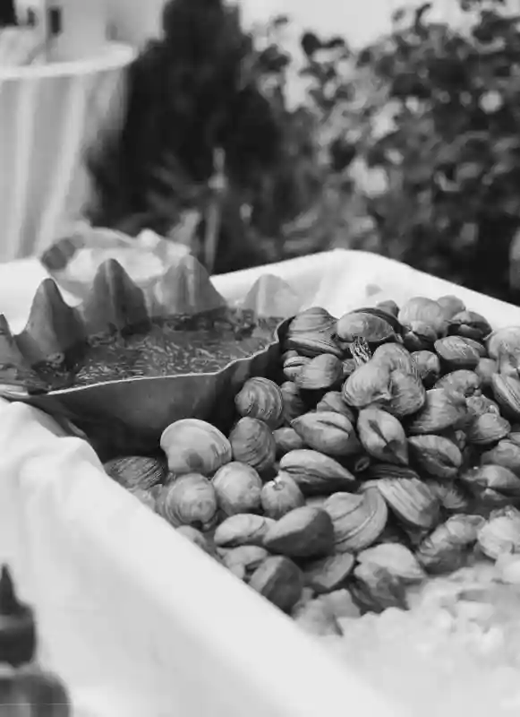 A Garden Wedding for Alexis  and Ryan